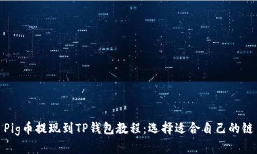 Pig币提现到TP钱包教程:选择适合自己的链