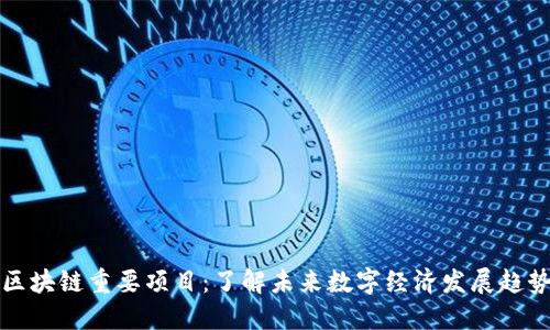 区块链重要项目:了解未来数字经济发展趋势