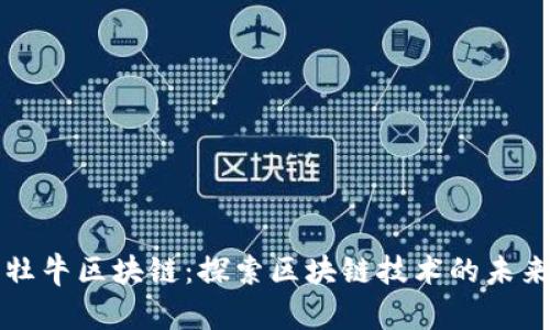 牡牛区块链:探索区块链技术的未来