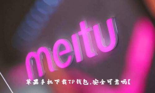 苹果手机下载TP钱包,安全可靠吗?
