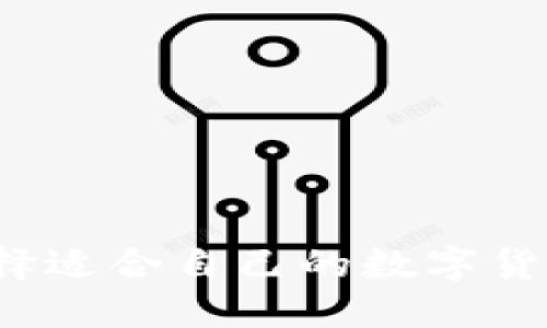 如何选择适合自己的数字货币钱包?