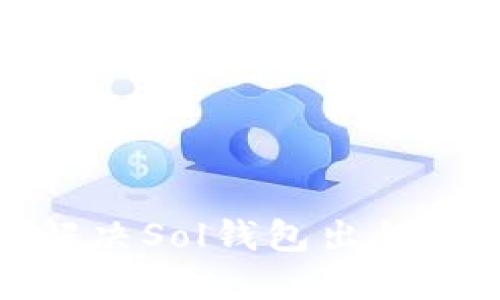 如何解决Sol钱包出错的问题