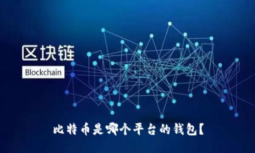比特币是哪个平台的钱包?