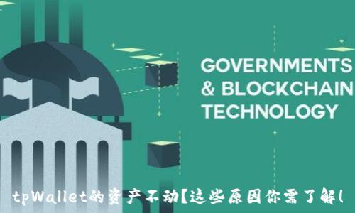   
tpWallet的资产不动？这些原因你需了解！