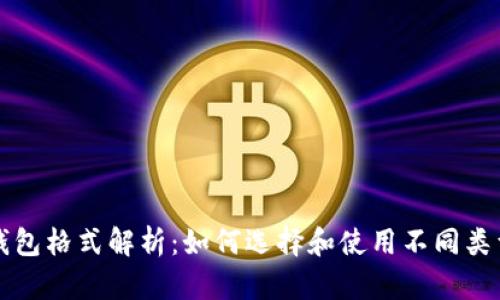 虚拟币钱包格式解析：如何选择和使用不同类型的钱包