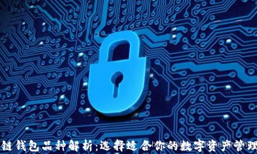 区块链钱包品种解析:选择适合你的数字资产管理方式