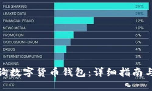 : 如何查询数字货币钱包:详细指南与实用技巧