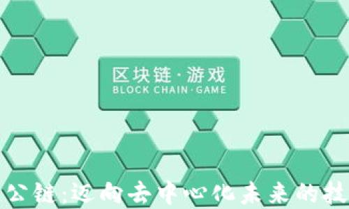 区块链公链:迈向去中心化未来的技术革命