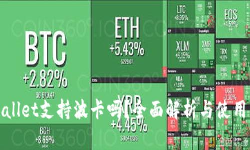 tpWallet支持波卡吗?全面解析与使用指南