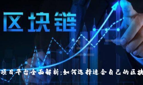 区块链项目平台全面解析:如何选择适合自己的区块链生态