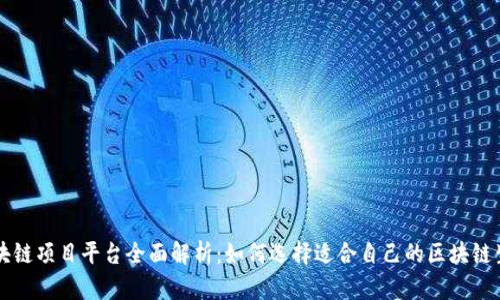 区块链项目平台全面解析:如何选择适合自己的区块链生态