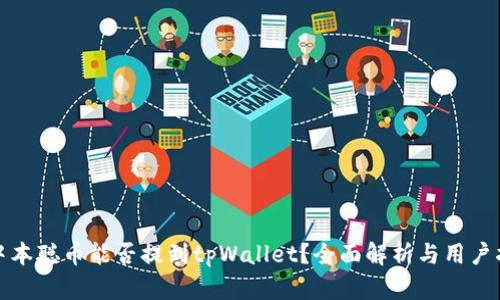 : 中本聪币能否提到tpWallet?全面解析与用户指南