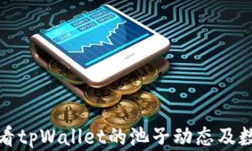 如何查看tpWallet的池子动态及数据详解