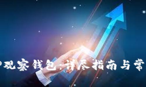 如何使用TP观察钱包:详尽指南与常见问题解答