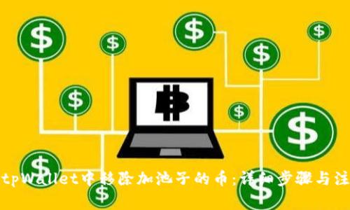 如何在tpWallet中移除加池子的币：详细步骤与注意事项