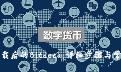 如何打开下载后的Bitdock:详细步骤与常见问题解析