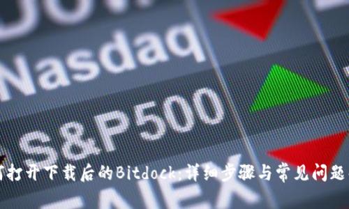 如何打开下载后的Bitdock:详细步骤与常见问题解析