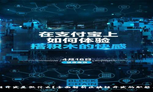 区块链开发是做什么？全面解析区块链开发的职能与应用