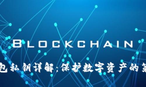 虚拟币钱包私钥详解:保护数字资产的第一道防线