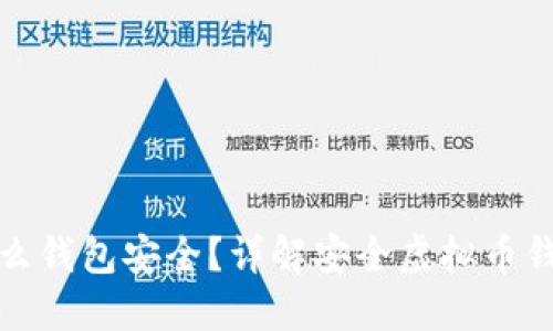 : 买虚拟币用什么钱包安全?详解安全虚拟币钱包的选择与使用