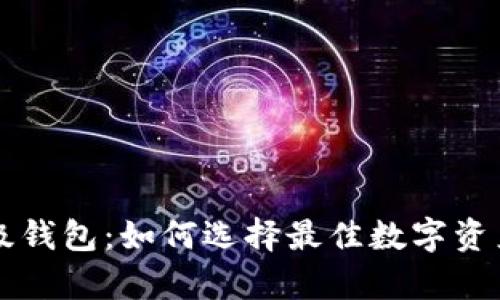 区块链升级钱包:如何选择最佳数字资产存储方案