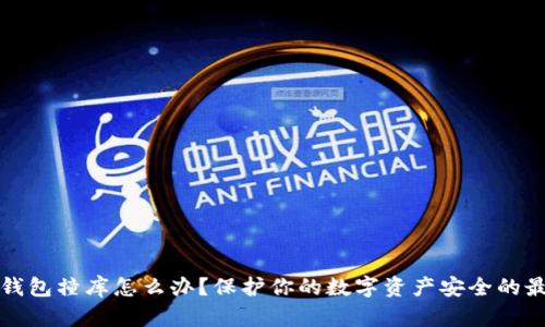 虚拟币钱包撞库怎么办?保护你的数字资产安全的最佳策略