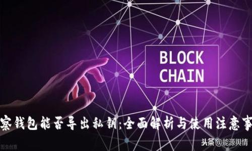 观察钱包能否导出私钥：全面解析与使用注意事项
