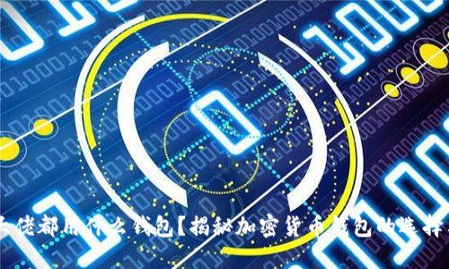 币圈大佬都用什么钱包?揭秘加密货币钱包的选择与使用