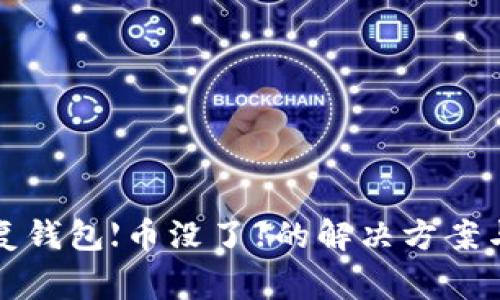 助记词恢复钱包【币没了】的解决方案与注意事项
