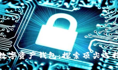 全球最大的数字资产钱包：探索顶尖选择与安全策略