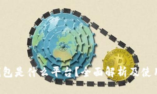 e宝钱包是什么平台?全面解析及使用指南