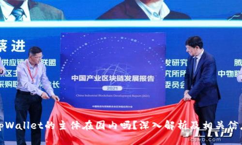 tpWallet的主体在国内吗?深入解析及相关信息