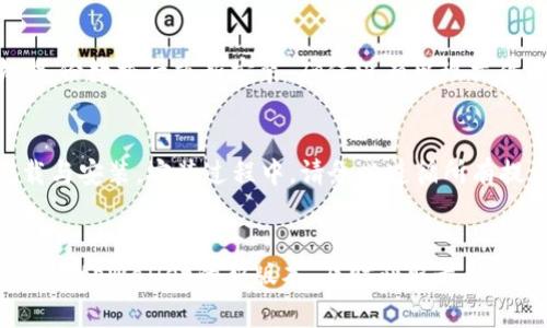   如何下载tpWallet老版本：获取链接与注意事项 / 

 guanjianci tpWallet老版本, tpWallet下载, 移动钱包, Ethereum钱包 /guanjianci 

引言
在数字货币日益普及的今天，移动钱包的使用也逐渐增多。tpWallet是用于存储和管理加密资产的一款流行钱包，它支持多种数字货币的存储与交易。然而，随着应用版本的更新，有时候用户可能需要找到旧版本的tpWallet以满足特定的需求。本文将详细介绍tpWallet老版本的下载地址、使用注意事项以及常见问题。

tpWallet概述
tpWallet是一款功能强大的移动数字钱包，支持Ethereum及其ERC20代币的管理，具备安全性高、易于使用等特点。在其最新版本中，用户能够享受到更多的新功能，如更快的交易确认、更多的合约功能等。尽管如此，一些用户可能会因特定的操作需求或设备兼容性问题，需要下载以前的版本。

tpWallet老版本下载地址
要下载tpWallet的老版本，可以通过以下几种方式寻找下载链接：
ol
    listrong官方网站：/strong通常来说，各大软件的官网会提供旧版本的下载链接。用户可以访问tpWallet的官方网站，在下载页面查找老版本。/li
    listrong应用商店：/strong部分移动应用商店会有历史版本的存档。如果使用Android设备，可以在APKPure、APKMirror等网站上搜索tpWallet，查看是否能找到老版本的下载。/li
    listrong社区论坛：/strong很多加密货币社区会分享各种工具及其不同版本，用户可以到相关论坛（如Bitcointalk或Reddit）搜索tpWallet的老版本。/li
    listrongGitHub：/strong如果tpWallet是开源项目，用户可以在GitHub上找到历史版本的代码，手动编译出所需版本。/li
/ol

下载老版本的注意事项
下载程序的老版本时，用户需要注意以下几点：
ol
    listrong安全性：/strong老版本的程序可能存在安全漏洞，用户在下载前需确保来源的可靠性，避免下载来自不明渠道的文件而造成安全隐患。/li
    listrong兼容性：/strong确保设备系统能够兼容所下载的老版本。有些老版本可能无法在新系统上运行。/li
    listrong功能限制：/strong老版本可能缺少某些新功能或安全性上的增强，使用时需权衡利弊。/li
    listrong备份数据：/strong下载新版本并替换住用老版本时，务必备份重要数据，以防意外导致数据丢失。/li
/ol

常见问题解答

1. 如何确定要下载哪个版本的tpWallet？
选择哪个版本的tpWallet取决于你的需求。首先，根据自己的设备系统（Android或iOS）选择合适的版本。同时，需要查看tpWallet的更新日志，了解新旧版本的功能差异，以及那些功能你实际需要。通常，在线社区中的讨论也是获取版本选择建议的好途径。

2. 老版本的tpWallet是否安全？
安全性是使用老版本时的主要顾虑之一。旧版本往往存在未修复的漏洞，使用安全性较低，因此用户需要确保从信任的渠道下载。此外，老版本可能无法支持新技术的加密机制，易受各种网络攻击。在使用时，尽量加大安全防范措施，如启用两步验证、定期更改密码等。

3. 我可以在我的旧设备上运行老版本的tpWallet吗？
运行老版本的tpWallet首先要考虑设备的操作系统和硬件限制。老旧的手机系统可能与新版本的软件不兼容，所以下载老版本是可行的。但硬件条件也会直接影响软件的性能。建议用户在下载老版本前，先做系统更新，然后再决定是否需要回退版本。

4. 如何解决老版本中可能出现的bug？
老版本通常会存在一些未修复的bug，遇到此情况可以尝试以下几个方法：首先，检查社区是否有人报告过类似问题，并寻找解决方案。其次，备份数据后重新安装，确保没有出现文件损坏的情况。最后，若问题依然存在，不妨考虑升级至较新安全性更高的版本。

5. 老版本升级到新版本的过程如何？
在决定从老版本升级到新版本前，首要步骤是备份所有重要数据，确保资产安全。然后，按照tpWallet官方网站提供的指南进行新版本的下载与安装。安装过程中，请务必遵循所有提示，确保顺利完成新版本的安装。完成后，开启新版本并根据需要恢复你的数据。

总结
无论是因需求还是习惯，时时保持对tpWallet老版本的了解都是很重要的。使用老版本时需谨慎，确保安全性与兼容性。而同时也建议不断关注tpWallet的新版本，及时获取最新功能和安全更新。希望通过本文的详细介绍，能够帮助到需要下载tpWallet老版本的用户，确保他们能够安全、顺利地使用这一数字钱包工具。