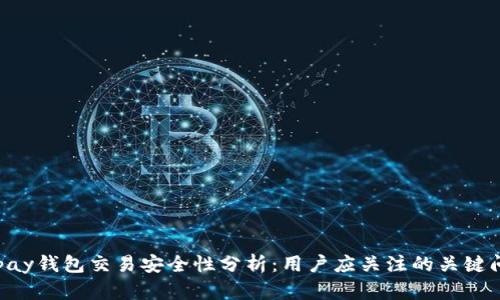 Gopay钱包交易安全性分析：用户应关注的关键问题