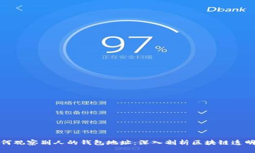 如何观察别人的钱包地址:深入剖析区块链透明性