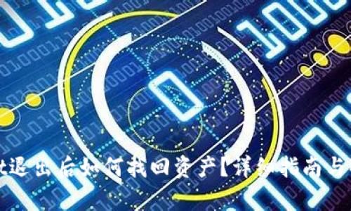 tpWallet退出后如何找回资产?详细指南与解决方案