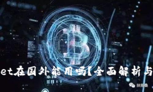 : tpWallet在国外能用吗？全面解析与使用指南