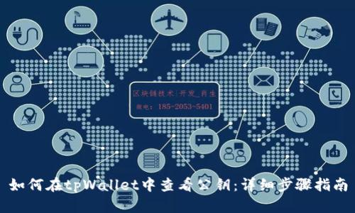 如何在tpWallet中查看公钥：详细步骤指南