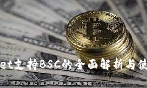 tpWallet支持BSC的全面解析与使用指南