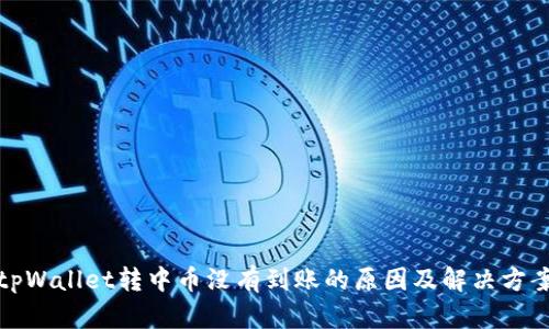 tpWallet转中币没有到账的原因及解决方案