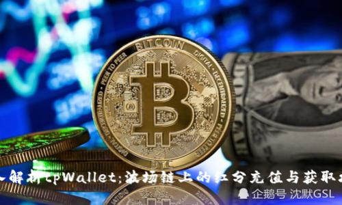 深入解析tpWallet:波场链上的红分充值与获取攻略