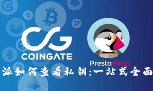 比特派如何查看私钥:一站式全面指南
