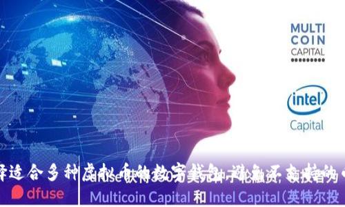 如何选择适合多种虚拟币的数字钱包,避免不支持的币种困扰