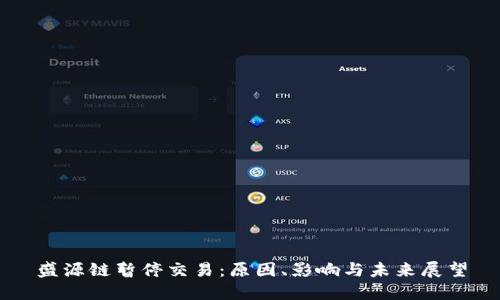 盛源链暂停交易:原因、影响与未来展望
