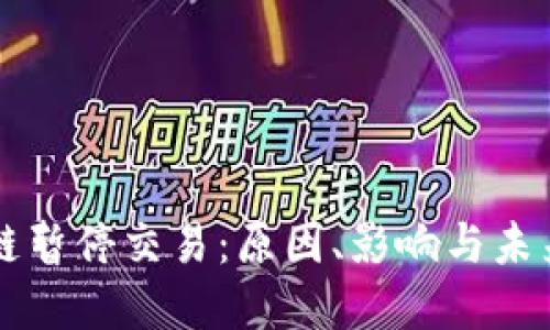 盛源链暂停交易:原因、影响与未来展望