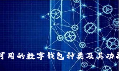 中国可用的数字钱包种类及其功能详解