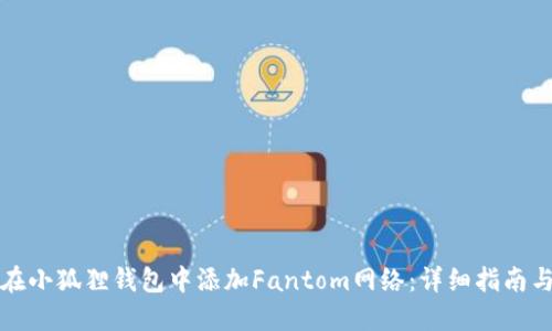 如何在小狐狸钱包中添加Fantom网络:详细指南与技巧