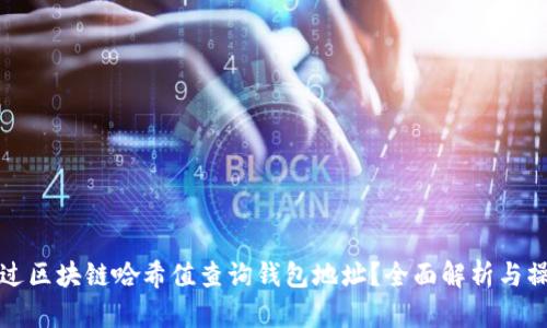 如何通过区块链哈希值查询钱包地址？全面解析与操作指南
