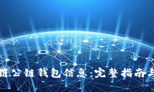 如何查询区块链公链钱包信息:完整指南与实用工具推荐