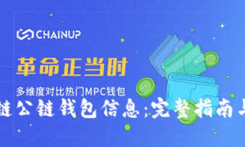 如何查询区块链公链钱包信息:完整指南与实用工具推荐
